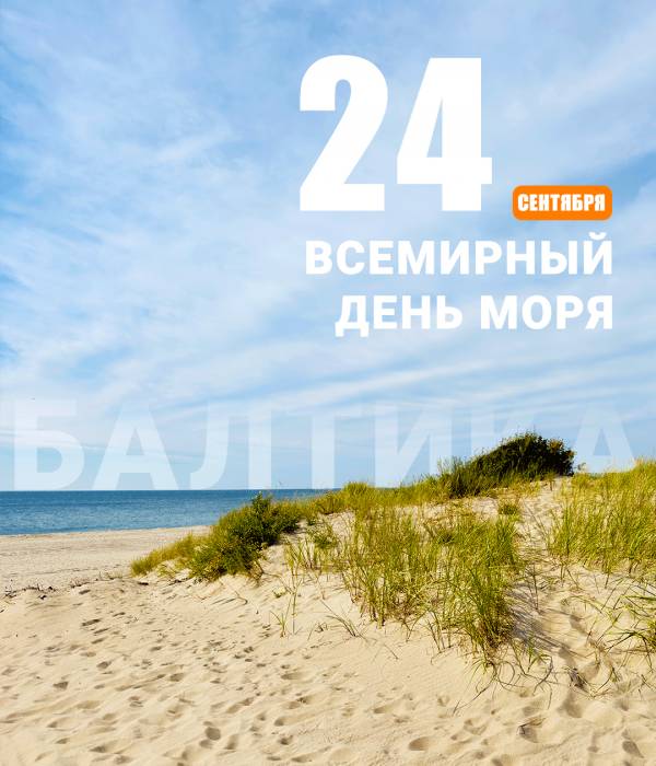 Море, которое знает вся Россия: Янтарный отмечает Всемирный день моря