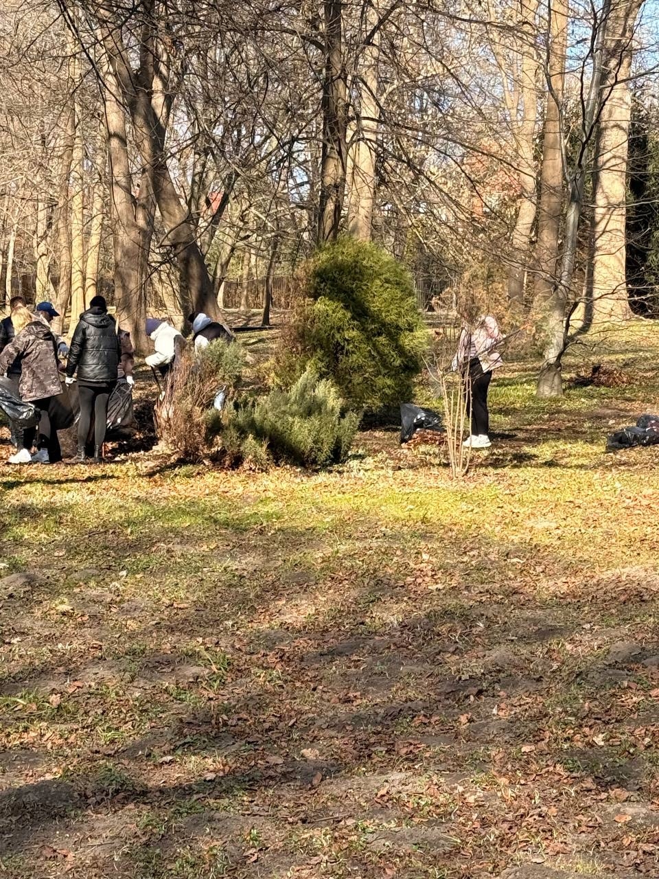 Сегодня в парке имени М. Беккера прошли работы по уборке листвы.
