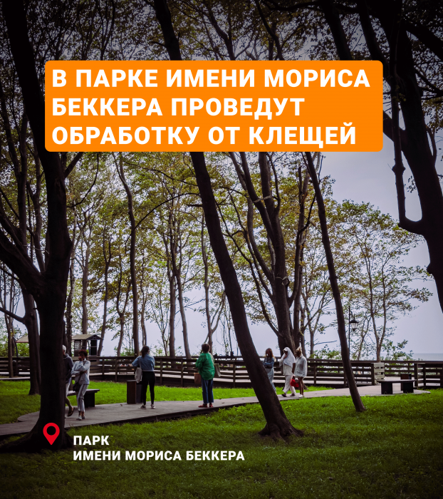 13 августа 2026 года в парке имени Мориса Беккера пройдет плановая обработка от клещей.