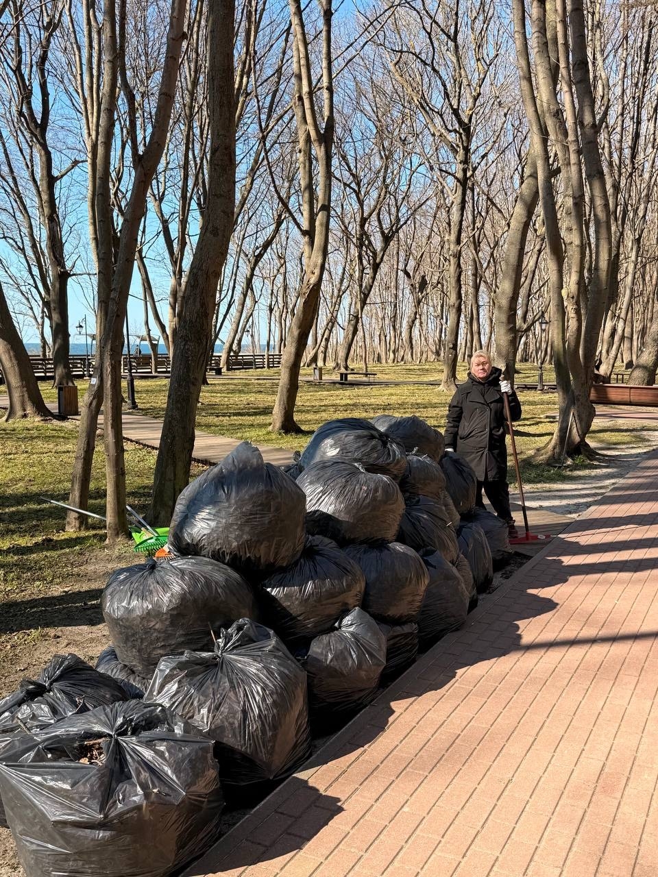 Сегодня в парке имени М. Беккера прошли работы по уборке листвы. Сегодня в парке имени М. Беккера прошли работы по уборке листвы.