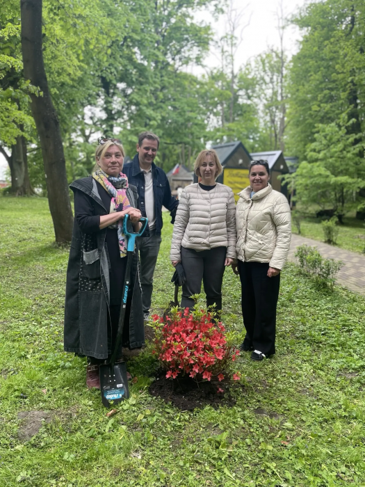 В парке им. М.Беккера расцвели три новых куста листопадного рододендрона (азалии)