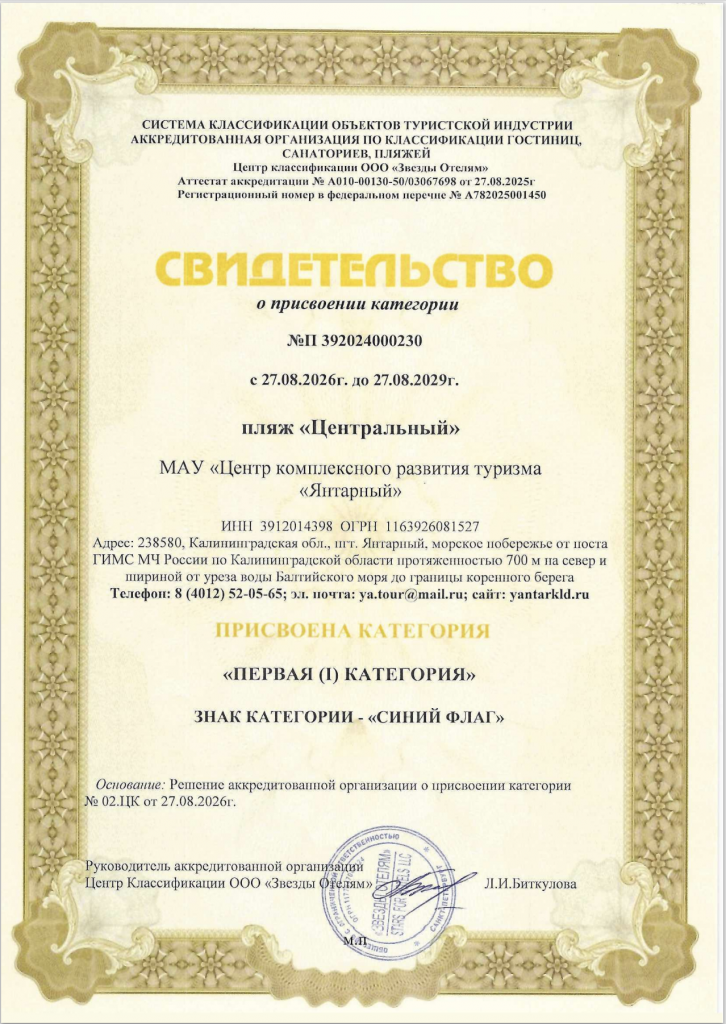 синий флаг я 2027.png