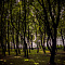 Парк им. Мориса Беккера